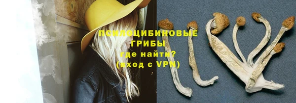 не бодяженный Новодвинск