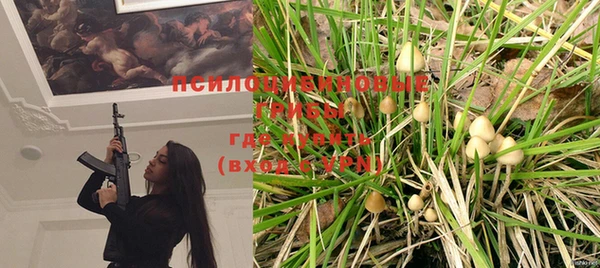 не бодяженный Новодвинск