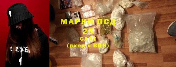 шишки Новозыбков