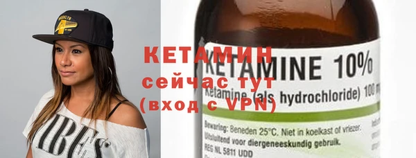 шишки Новозыбков