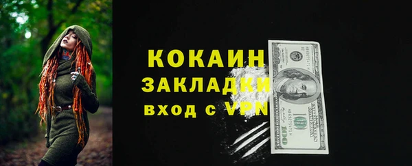 шишки Новозыбков