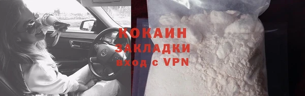 шишки Новозыбков