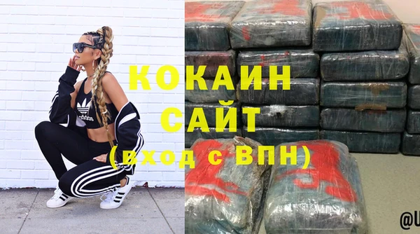 шишки Новозыбков
