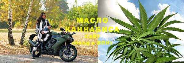 шишки Новозыбков