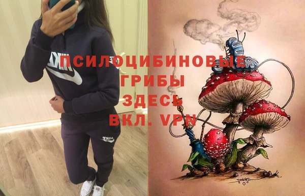 скорость Новокубанск