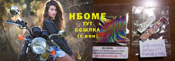 шишки Новозыбков