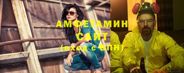 шишки Новозыбков