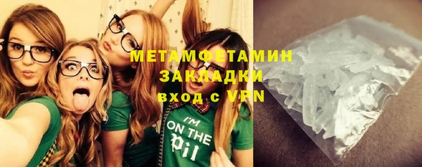 шишки Новозыбков