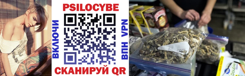 Купить закладки  Калуга  Галлюциногенные грибы GOLDEN TEACHER 