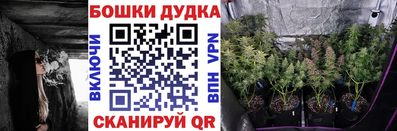Купить закладки  Калуга  Бошки марихуана AK-47 